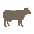 4 animaux par mois