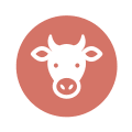 Icône Veau