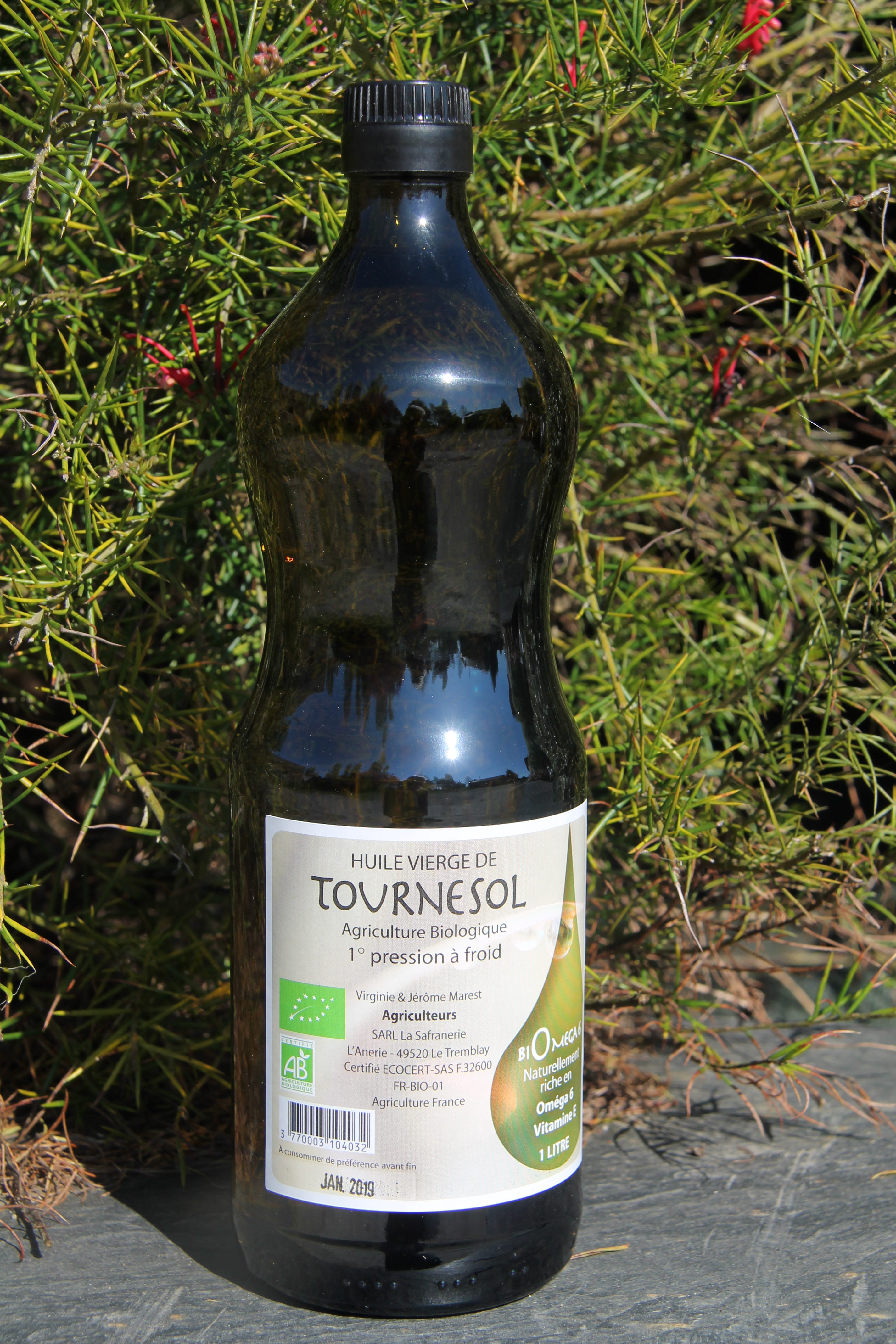 Graines de Tournesol Bio 500 grs - Vivien d'Anjou