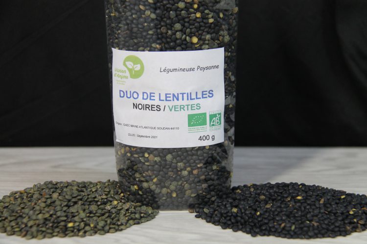 Lentilles Vertes 400 g